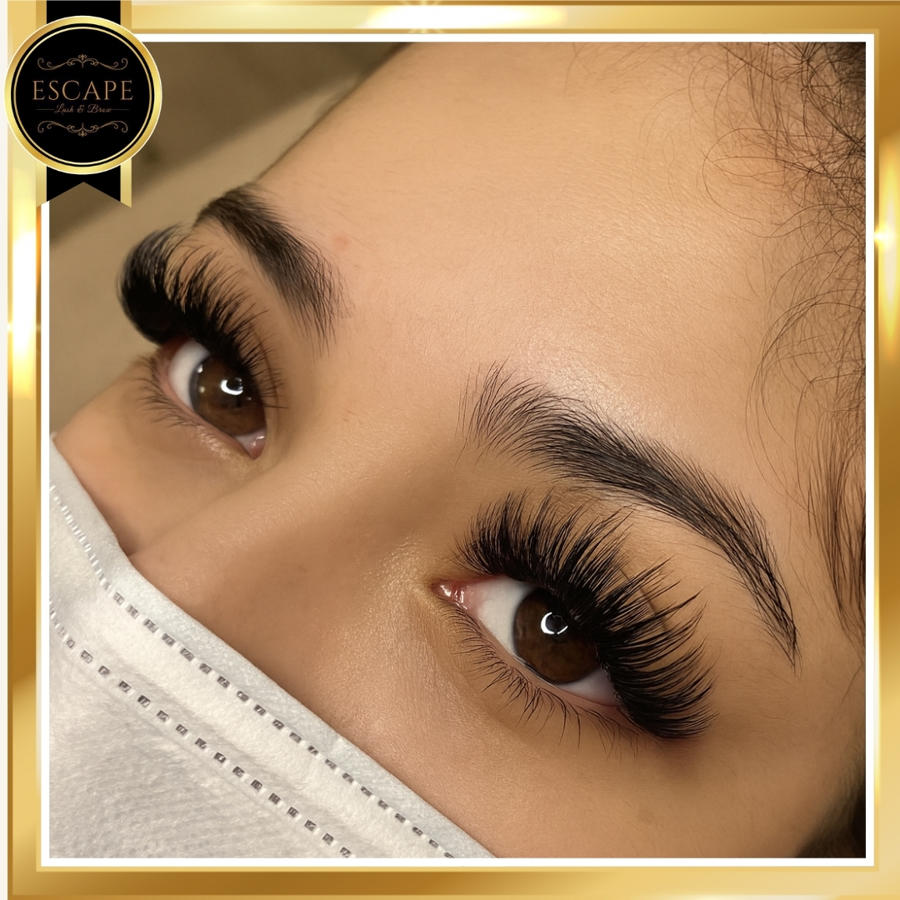 Escape Eyelash & Brow Spa